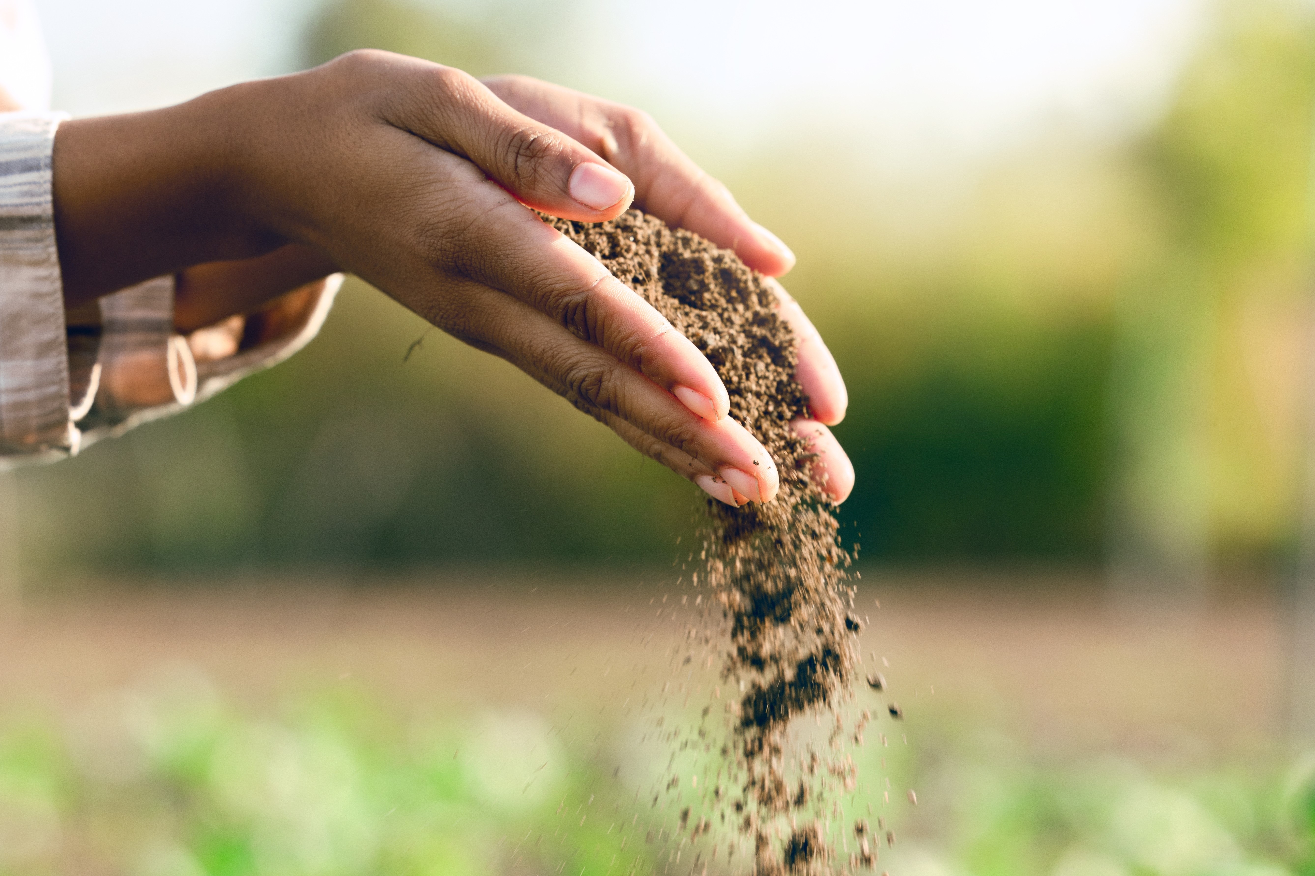 Hands with soil