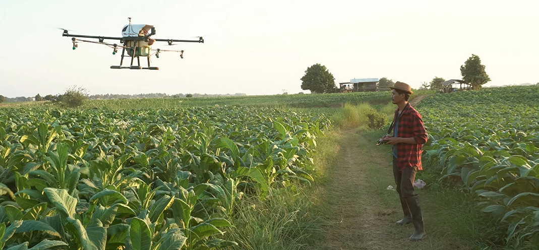 Crops with a drone flying 