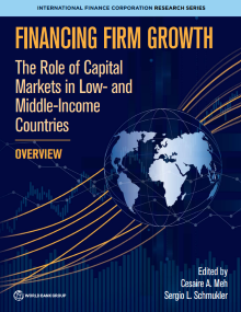 Financing Firm Growth: The Role of Capital Markets in Low- and Middle-Income Countries