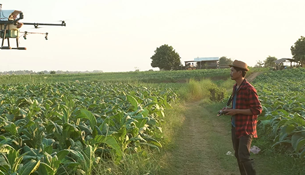 Rural development