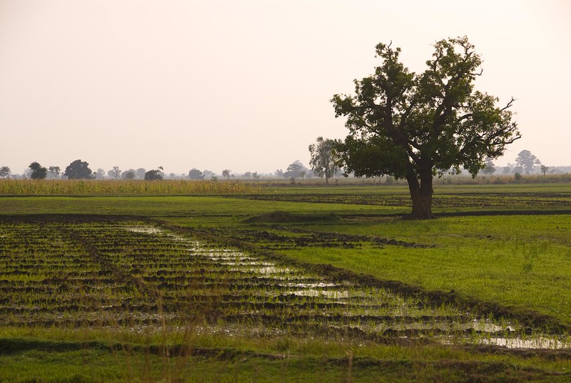 Climate resilience