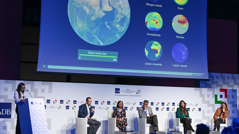Partnerships for resilience panel