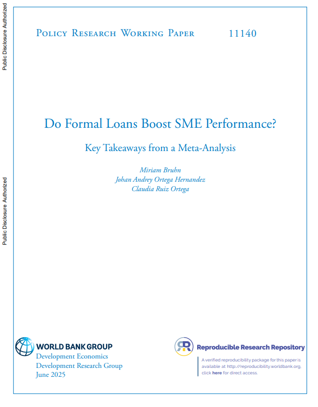 Do Formal Loans Boost SME Performance?