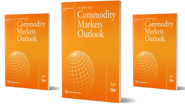Commodity markets outlook