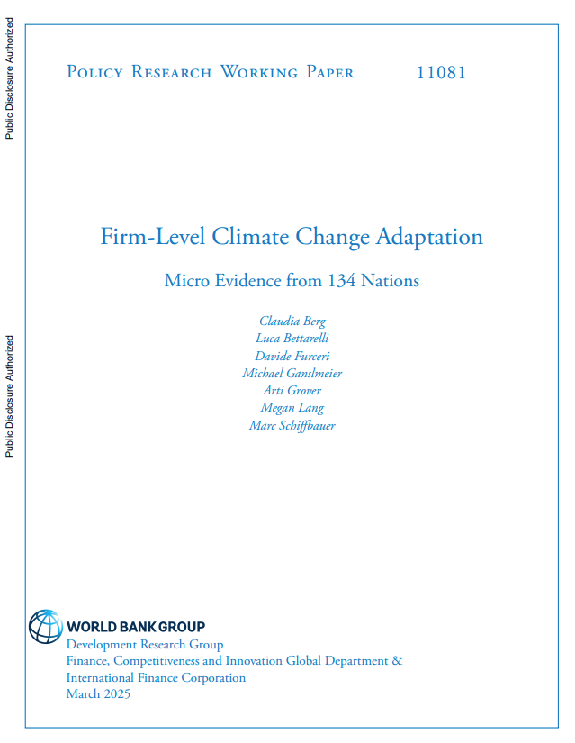 Firm-level Climate Adaptation