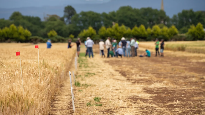 Resilience report blog