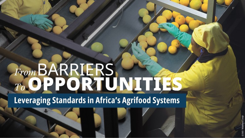 Agrifood Standards event DC
