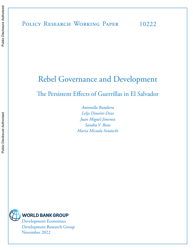 Rebel governance