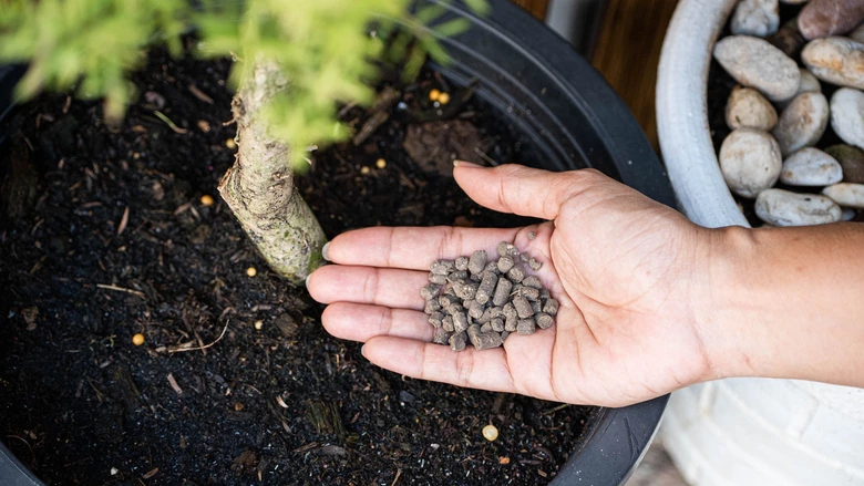 fertilizer