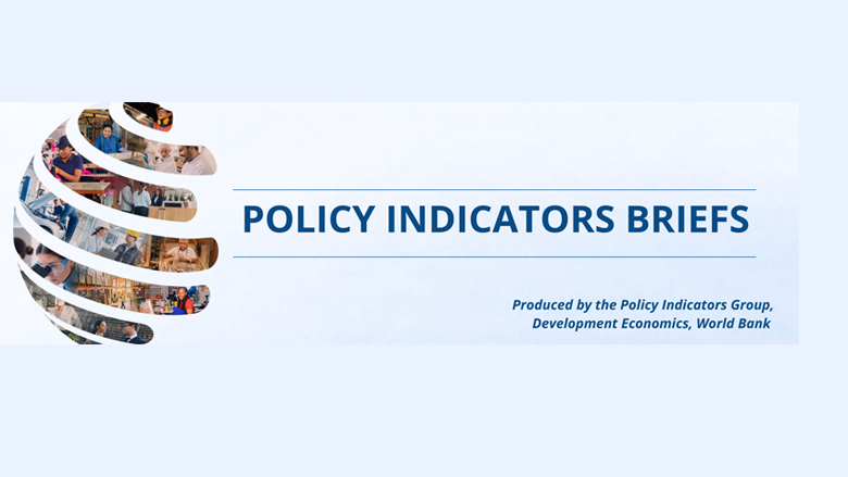 Policy Indicators Briefs Series