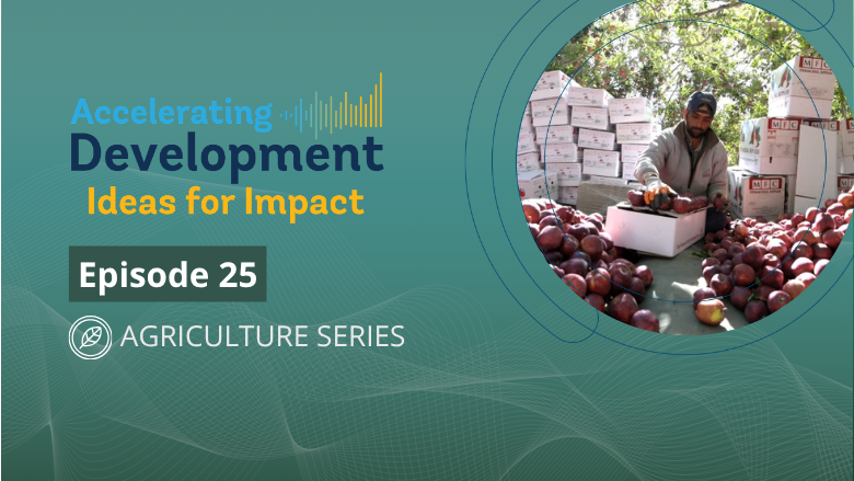 Episode 25 agrifood 