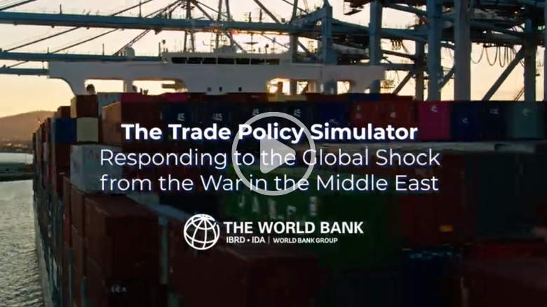 The Trade Policy Simulator