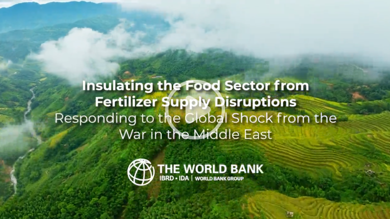 Insulating the Food Sector from Fertilizer Supply Disruptions