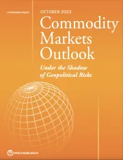 Report Cover