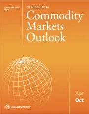 Report cover