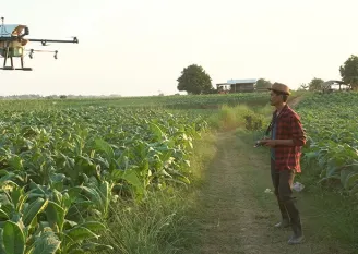 Accelerating rural development