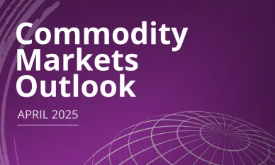 Commodities Markets Outlook report cover