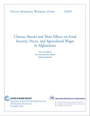 Working paper cover 