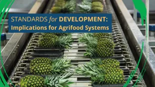 Standards Agrifood