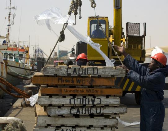 Worker loading cargo Worker loading cargo
