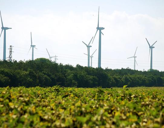Wind farm Wind farm