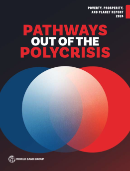 Pathways out the polycrisis