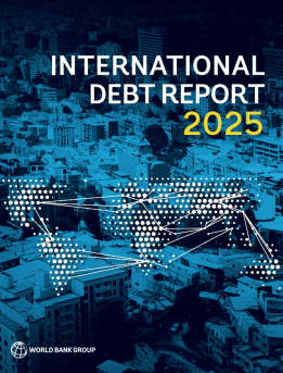 International Debt Report 2025