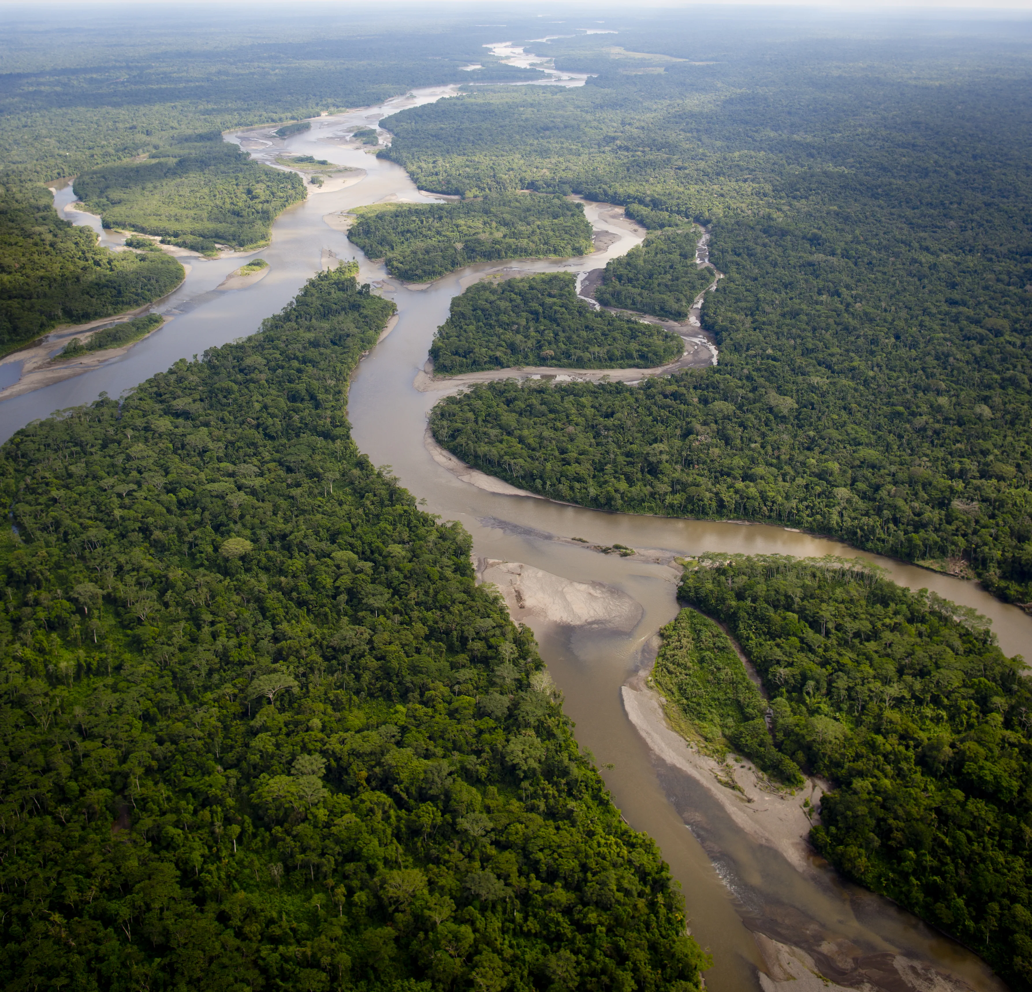 Environment