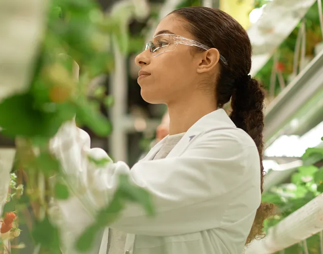 The Global Jobs Challenge